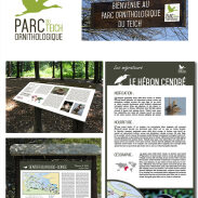 Projet identité visuelle Parc Ornithologique